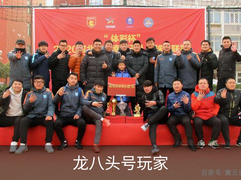 关于龙八头号玩家