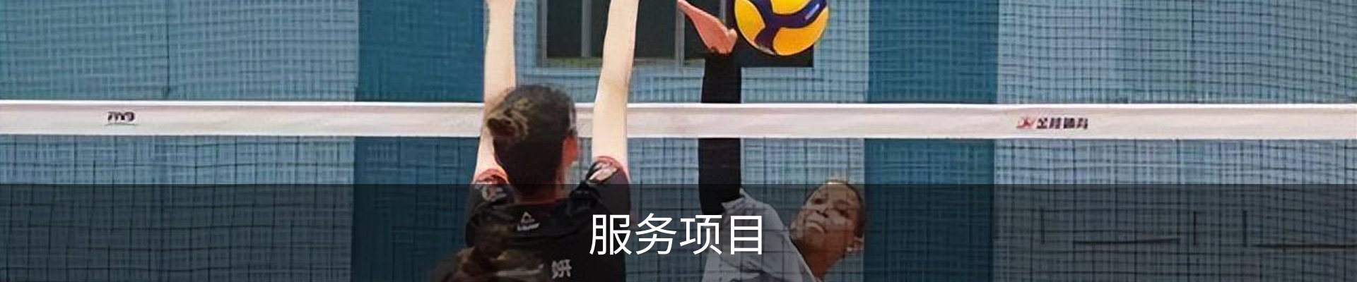 服务项目